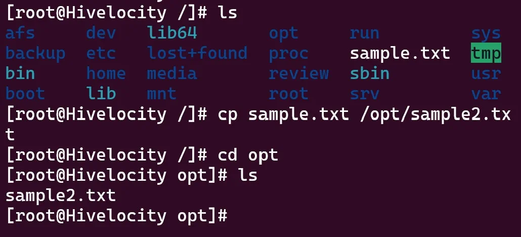 Automazione e Script per la Gestione dei File nel Linux Terminal
