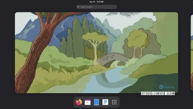 Fedora Linux 42 è qui con GNOME 48