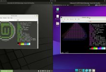 Endeavouros vs Linux mint: Un Confronto Completo