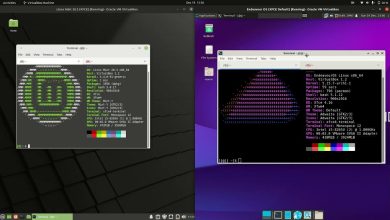 Endeavouros vs Linux mint: Un Confronto Completo