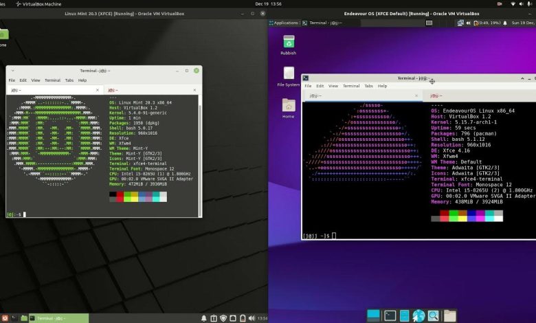 Endeavouros vs Linux mint: Un Confronto Completo