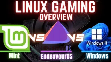 Battaglia degli OS per il Gaming: Confronto Dettagliato tra Linux Mint, Endeavor OS e Windows 11 con Benchmark a 1440p e 4K