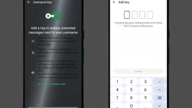 WhatsApp Cambia le Regole: Prenota il Tuo Username in Beta